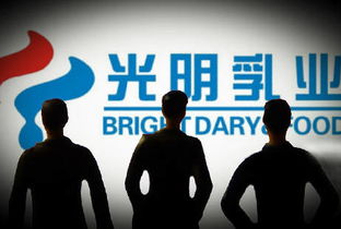 宋清輝 光明乳業(yè)企業(yè)管理與治理結(jié)構(gòu)漏洞凸顯，亟待深化改革